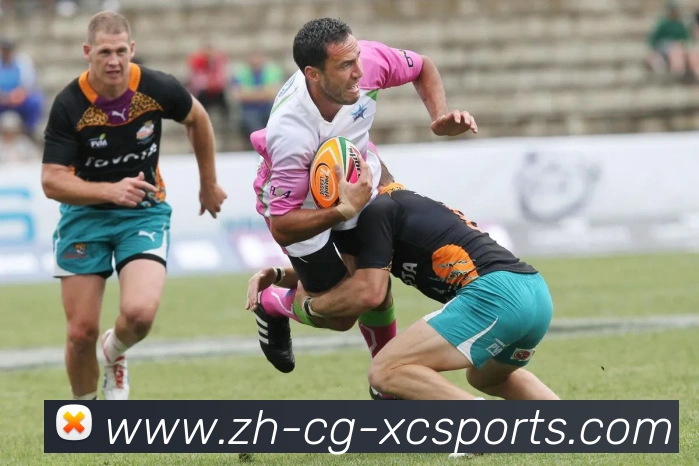 杏彩体育平台生态图